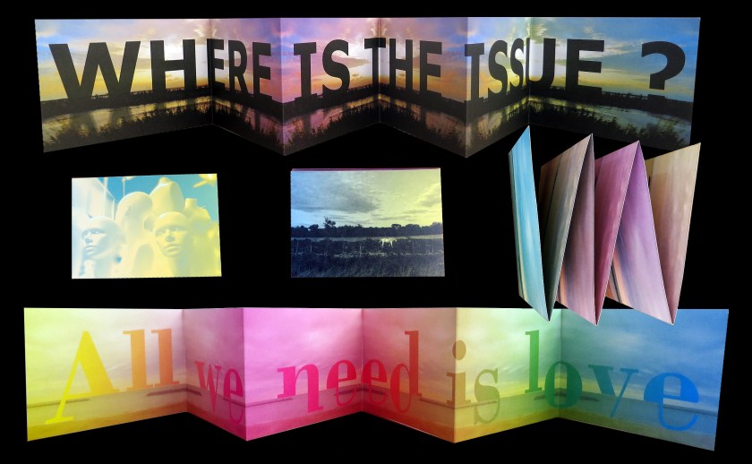 LE SHOP - galerie le lieu multiple montpellier - Delphine Sauret - WITI