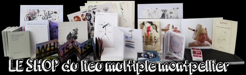 LE SHOP - galerie le lieu multiple montpellier