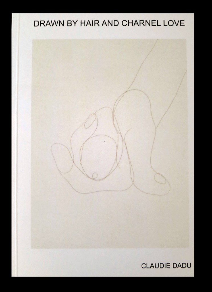 LE SHOP - galerie le lieu multiple montpellier - Claudie Dadu - Drawn by hair and charnel love