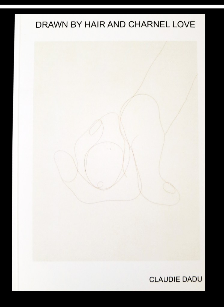 LE SHOP - galerie le lieu multiple montpellier - Claudie Dadu - Drawn by hair and charnel love