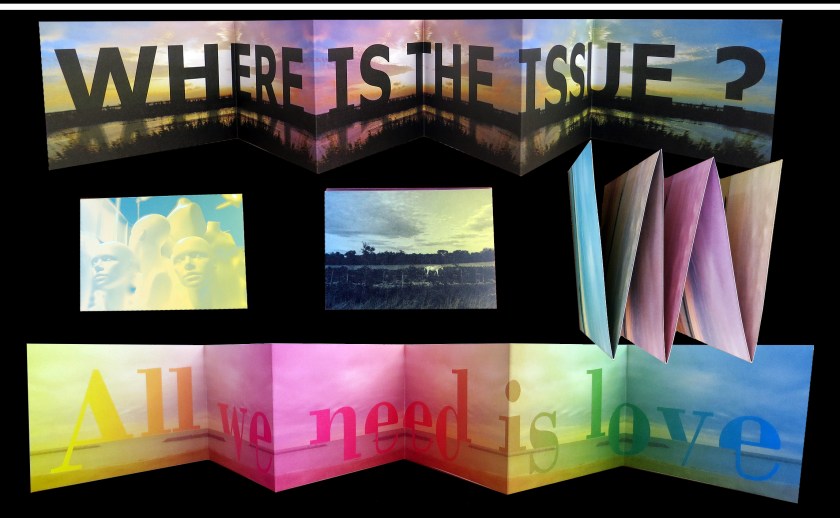 LE SHOP - galerie le lieu multiple montpellier - Delphine Sauret - WITI